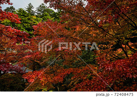 錦秋の那谷寺 錦秋の那谷寺 72408475