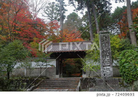 紅葉の時期の山門（雲興寺　愛知県瀬戸市） 72409693