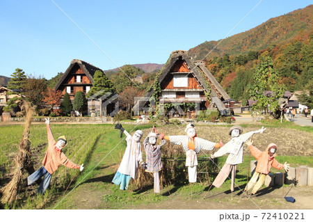 白川郷の合掌造りの家と案山子達 72410221