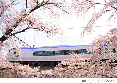 山梨県 勝沼ぶどう郷駅の春 甚六桜の写真素材