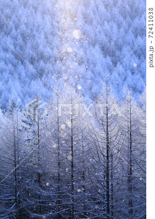 霧ヶ峰高原のダイヤモンドダスト 72411038