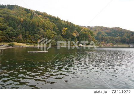 ナウマンゾウの化石で有名な野尻湖の深秋 72411079