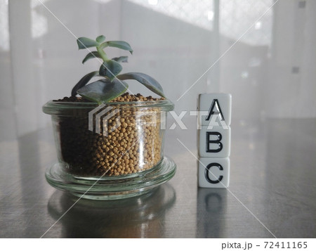 明るい日差しの中でABCのサイコロ文字と植物1 72411165
