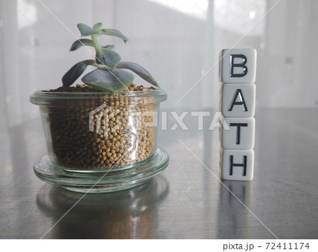 明るい日差しの中でBATHと並べられたサイコロ文字と植物2 72411174