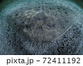 ツバクロエイ ツバクロエイ 72411192