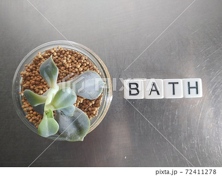 明るい日差しの中でBATHと並べられたサイコロ文字と植物4 明るい日差しの中でBATHと並べられたサイコロ文字と植物4 72411278