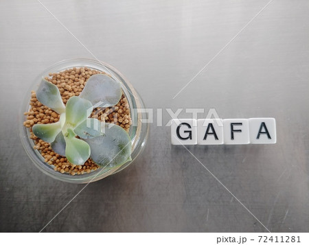 明るい日差しの中でGAFAと並べられたサイコロ文字と植物3 明るい日差しの中でGAFAと並べられたサイコロ文字と植物3 72411281