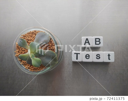 明るい日差しの中でAB Testと並べられたサイコロ文字と植物1 明るい日差しの中でAB Testと並べられたサイコロ文字と植物1 72411375