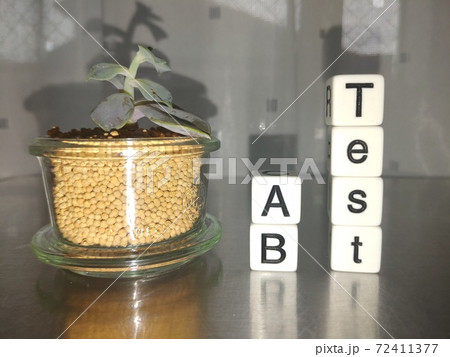 明るい日差しの中でAB Testと並べられたサイコロ文字と植物3 明るい日差しの中でAB Testと並べられたサイコロ文字と植物3 72411377