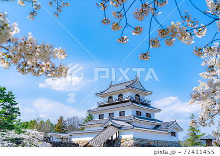 春の白石城と桜 【宮城県】 春の白石城と桜 【宮城県】 72411455