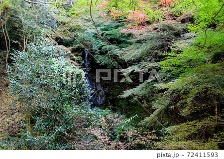丹波市鐘ヶ坂の鐘ヶ坂公園の山すその木々の中を流れ落ちる不動の滝 72411593