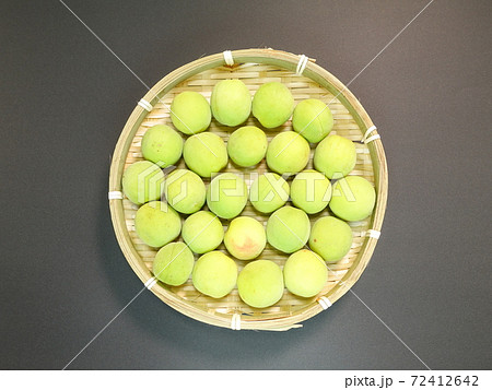 ウメ 梅 うめ ウメ 梅 うめ 72412642