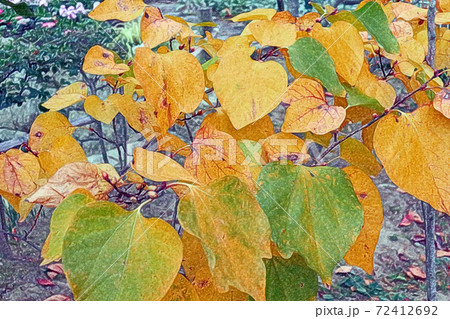 色付いた「ダンコウバイの紅葉」色鉛筆画風 色付いた「ダンコウバイの紅葉」色鉛筆画風 72412692