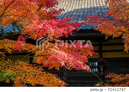天徳院の紅葉 天徳院の紅葉 72412787