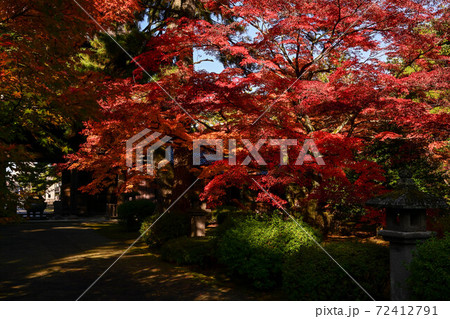 天徳院の紅葉 72412791