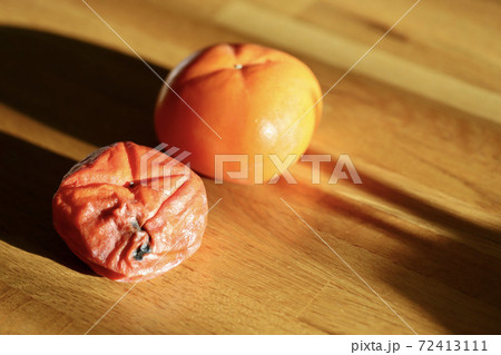 腐ってしまった庄内柿と新鮮な庄内柿　食品ロス 72413111