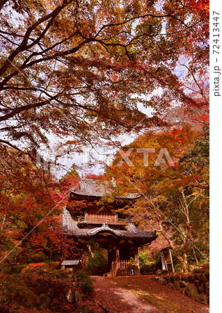 清水寺と紅葉・美濃加茂市 清水寺と紅葉・美濃加茂市 72413447