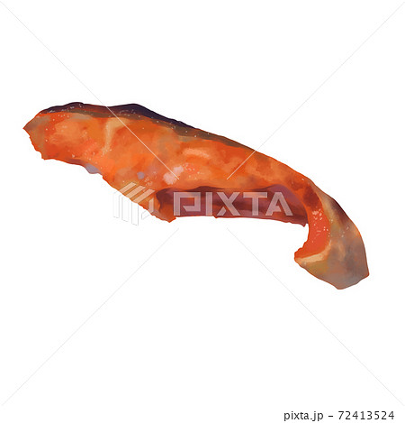リアルな焼き鮭単品 線画なしのイラスト素材