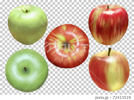 リアルな赤リンゴと青リンゴのセット 線画なしのイラスト素材