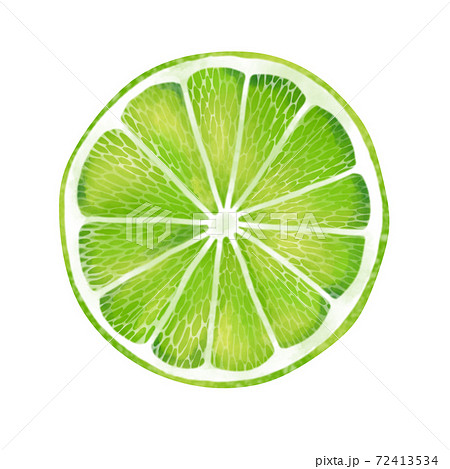 フレッシュな緑色のスライスライム 線画なしのイラスト素材