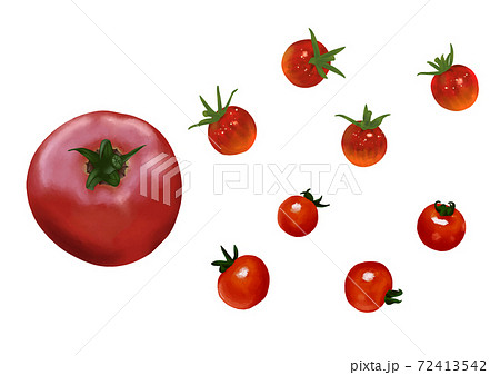 リアルなトマトとミニトマトのセット 線画なしのイラスト素材