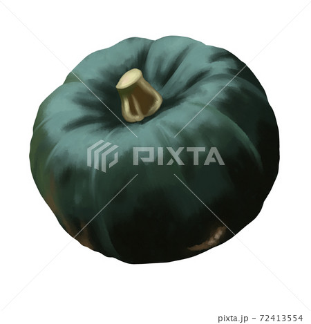 水彩風　濃い緑色のかぼちゃ　線画なし 72413554