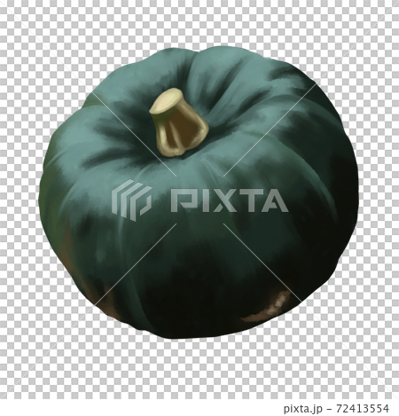 水彩風　濃い緑色のかぼちゃ　線画なし 72413554
