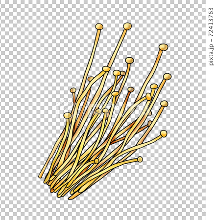 Vegetable enoki ② (with main line) Can also be used for hot pots, bento boxes, and cooking images Combination series Vegetable enoki ② (with main line) Can also be used for hot pots, bento boxes, and cooking images Combination series 72413763