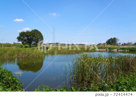 三昧場 三昧場 72414474