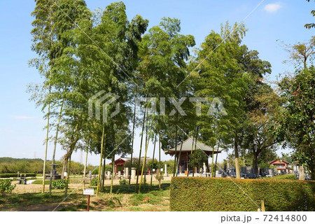 下野薬師寺跡　六角堂 72414800