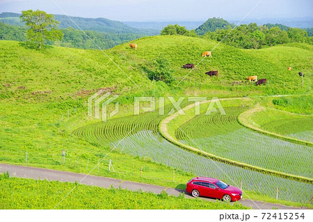 ドライブイメージ　熊本県産山村の扇棚田 72415254
