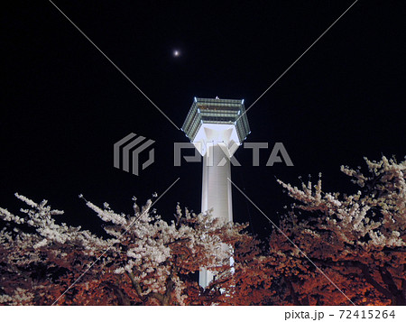 函館五稜郭公園満開の桜と月の供宴 函館五稜郭公園満開の桜と月の供宴 72415264