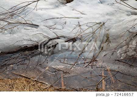 Shot of melted snow in a sunny early spring day 72416657