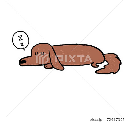 眠る犬のイラスト 72417395