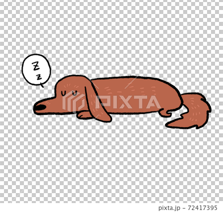 眠る犬のイラスト 72417395