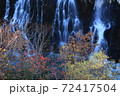 滝と紅葉 72417504