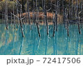 青い池 72417506
