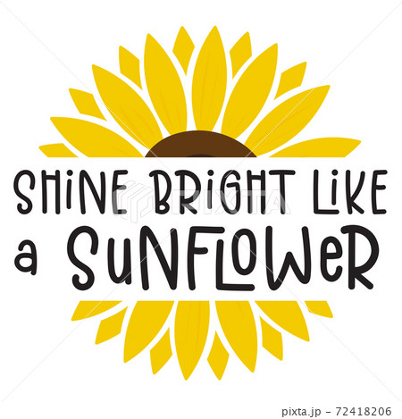 Shine Bright like a sunflower isolated on white background. Cute Draw Flower design. For t shirt, greeting card or poster design Background Vector Illustration. Shine Bright like a sunflower isolated on white background. Cute Draw Flower design. For t shirt, greeting card or poster design Background Vector Illustration. 72418206