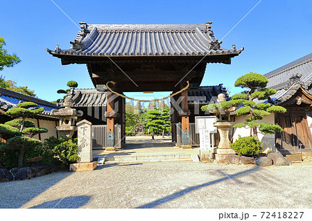 誉田八幡宮 72418227