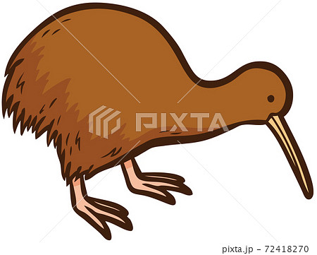 Illustration of wild bird kiwi - Stock Illustration [72418270] - PIXTA