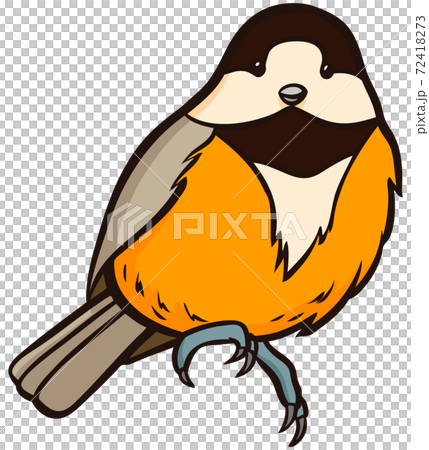 野鳥のヤマガラのイラストのイラスト素材