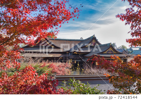 【北野天満宮】史跡 御土居の紅葉!350本の紅葉が色づくもみじ苑! 【北野天満宮】史跡 御土居の紅葉!350本の紅葉が色づくもみじ苑! 72418544