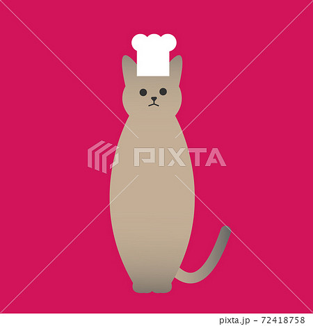 コック帽をかぶった茶色の猫のイラスト Sitting Brown Cat With Chef Hatのイラスト素材