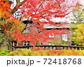 旧古河庭園。洋館と紅葉（12月）東京都文京区 72418768