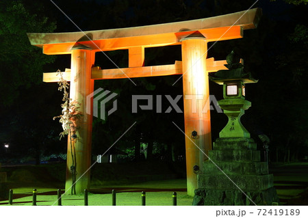 奈良　ライトアップ 72419189