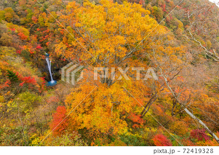 平成の森、駒止めの滝、紅葉、那須岳、那須の展望台、那須高原 72419328