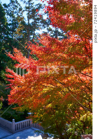紅葉と石階段 72419894