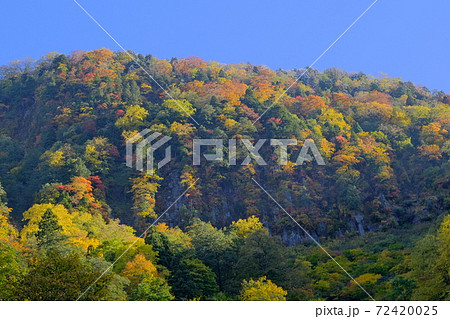 朝日が当たる紅葉 72420025