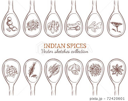 Sketch Organic Indian Spices Set Sketch Organic Indian Spices Set 72420601