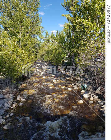 カナダブリティッシュコロンビア州の小川 72420877